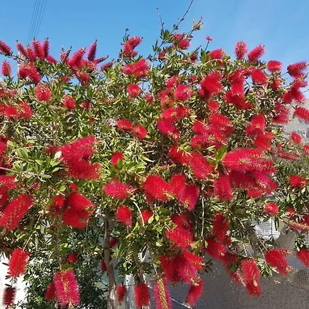 Tatil Evi Etoile Perissa (Santorini)